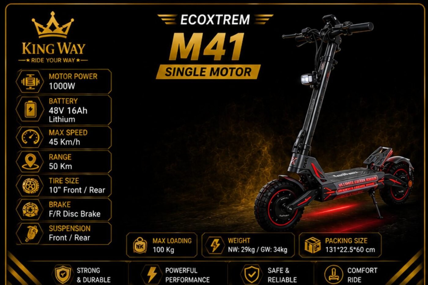 Ecoxtrem M41 Single Motor